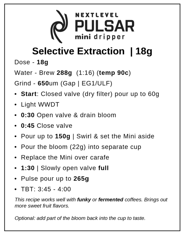 Pulsar Mini Brewer by Next Level Brewer (w/ 100 filters)