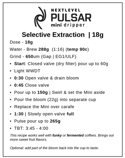 Pulsar Mini Brewer by Next Level Brewer (w/ 100 filters)