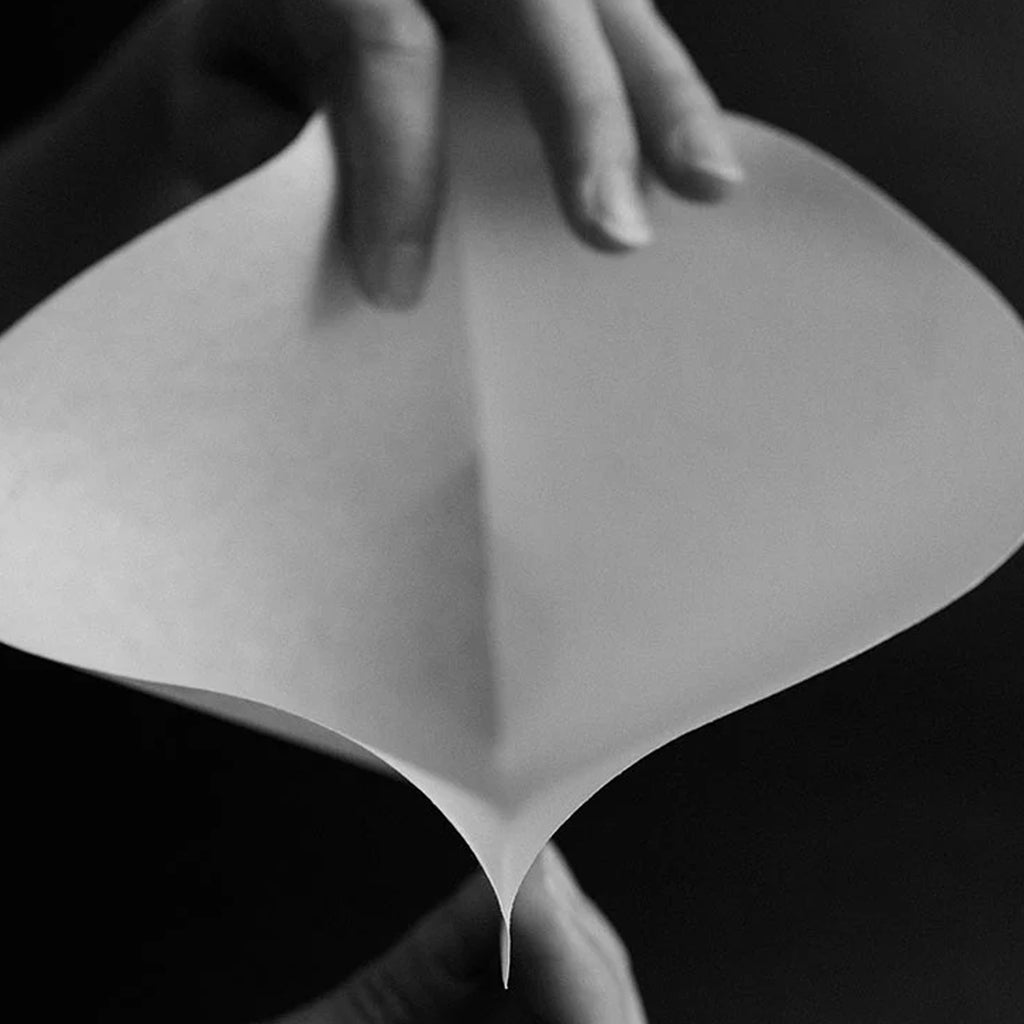 SIBARIST Cone XL Coffee Filters