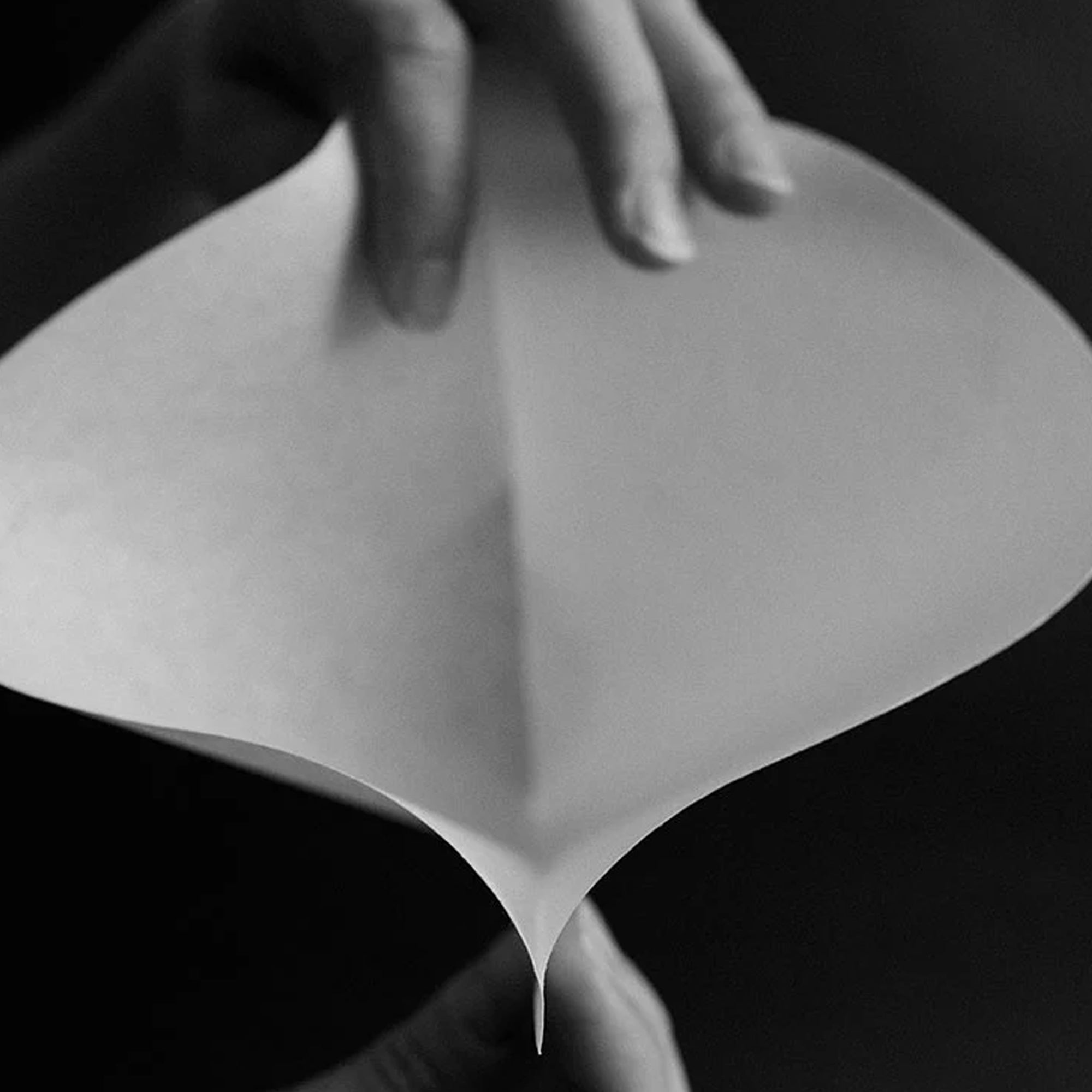 SIBARIST Cone XL Coffee Filters