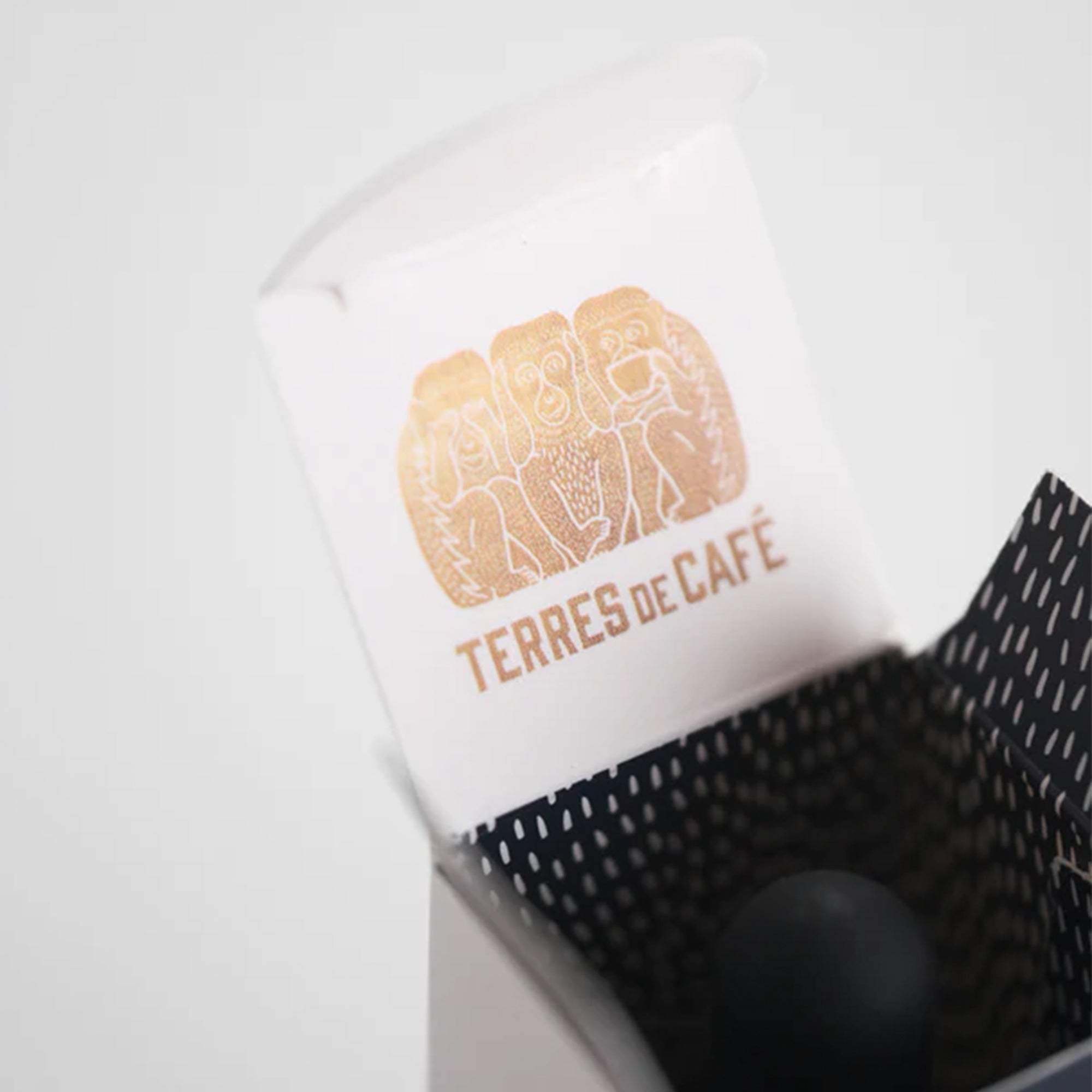 APAX LAB Terres De Cafe x APAX LAB