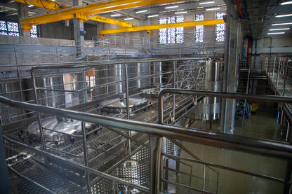 Brazil | Fazenda Progresso | Catuaí / Topazio Natural