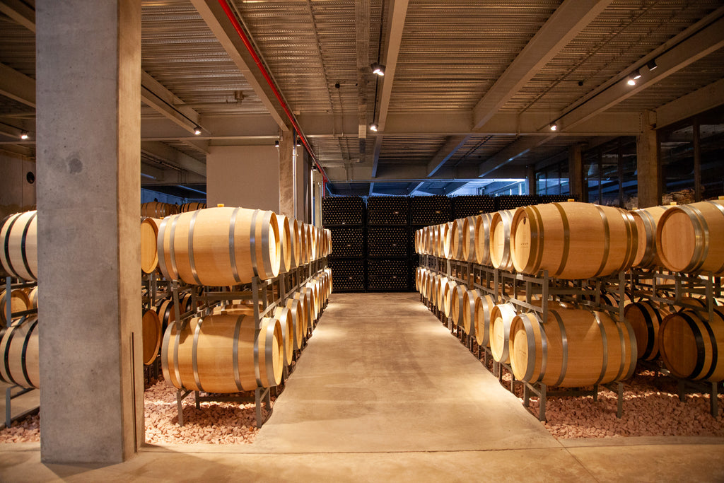 Brazil | Fazenda Progresso | Catuaí / Topazio Natural