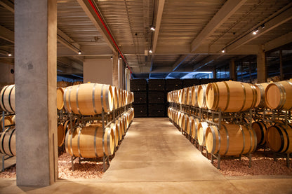 Brazil | Fazenda Progresso | Catuaí / Topazio Natural