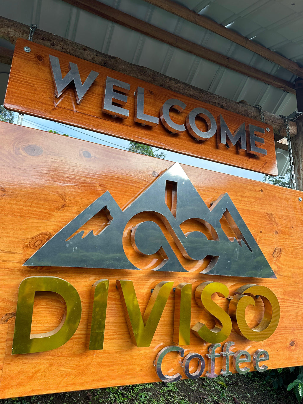 Colombia | El Diviso | Nestor Lasso | Ombligon Natural (Floral Symphony) | Signature Series