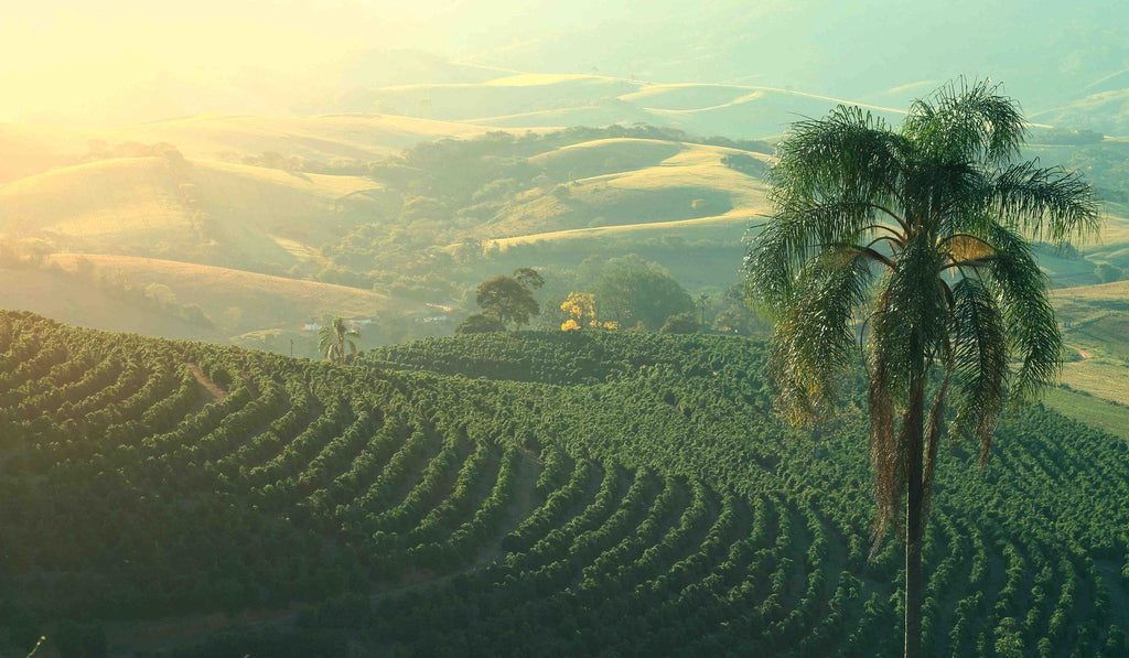 Vale da Grama - Nossa program, Brazil