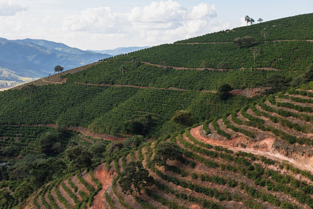 Serra Negra, Minas Gerais