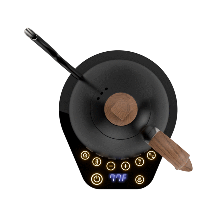 Brewista Artisan 1.0L Kettle - product view 2