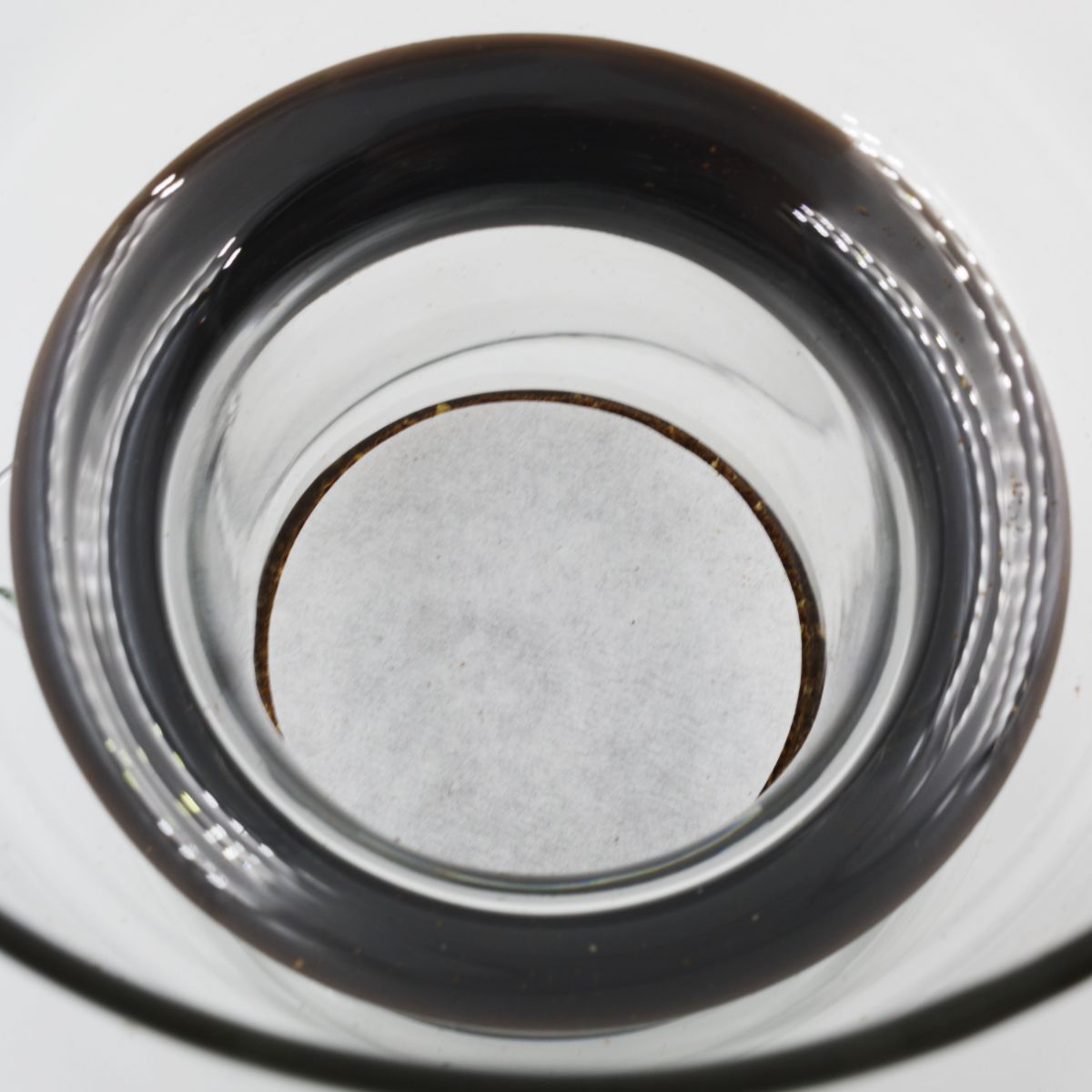bruer_filters_5.jpg