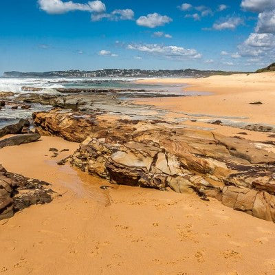 coastalblend2_f55ab92f-fb73-418e-abbe-9c245c20e400.jpg