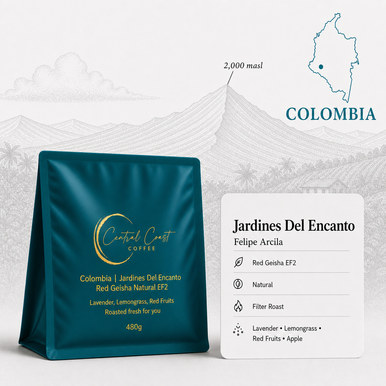 Colombia | Jardines Del Encanto | Felipe Arcila | Red Geisha Natural EF2 | Signature Series 480g bag