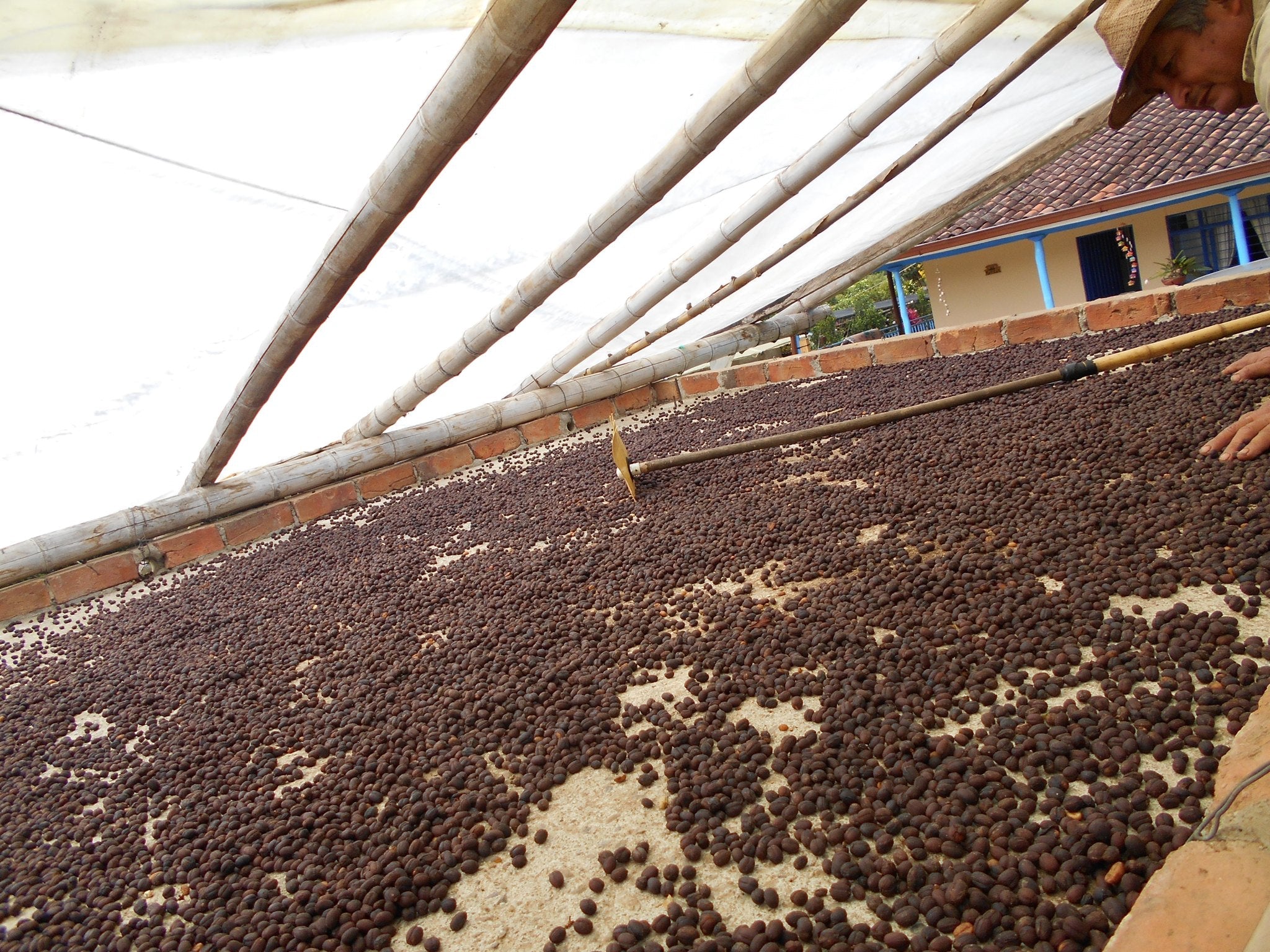 Finca Patio Bonito - Wush Wush Natural