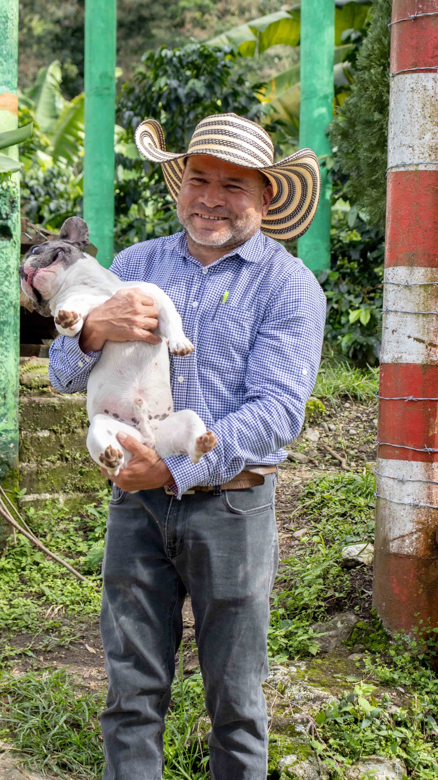 Colombia | La Divisa | Diofanor Ruiz | Papayo Natural