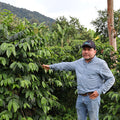 Colombia | La Divisa | Diofanor Ruiz | Papayo Natural