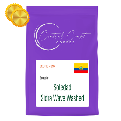 Ecuador | Soledad | Pepe Jijon | Sydra Wave Washed