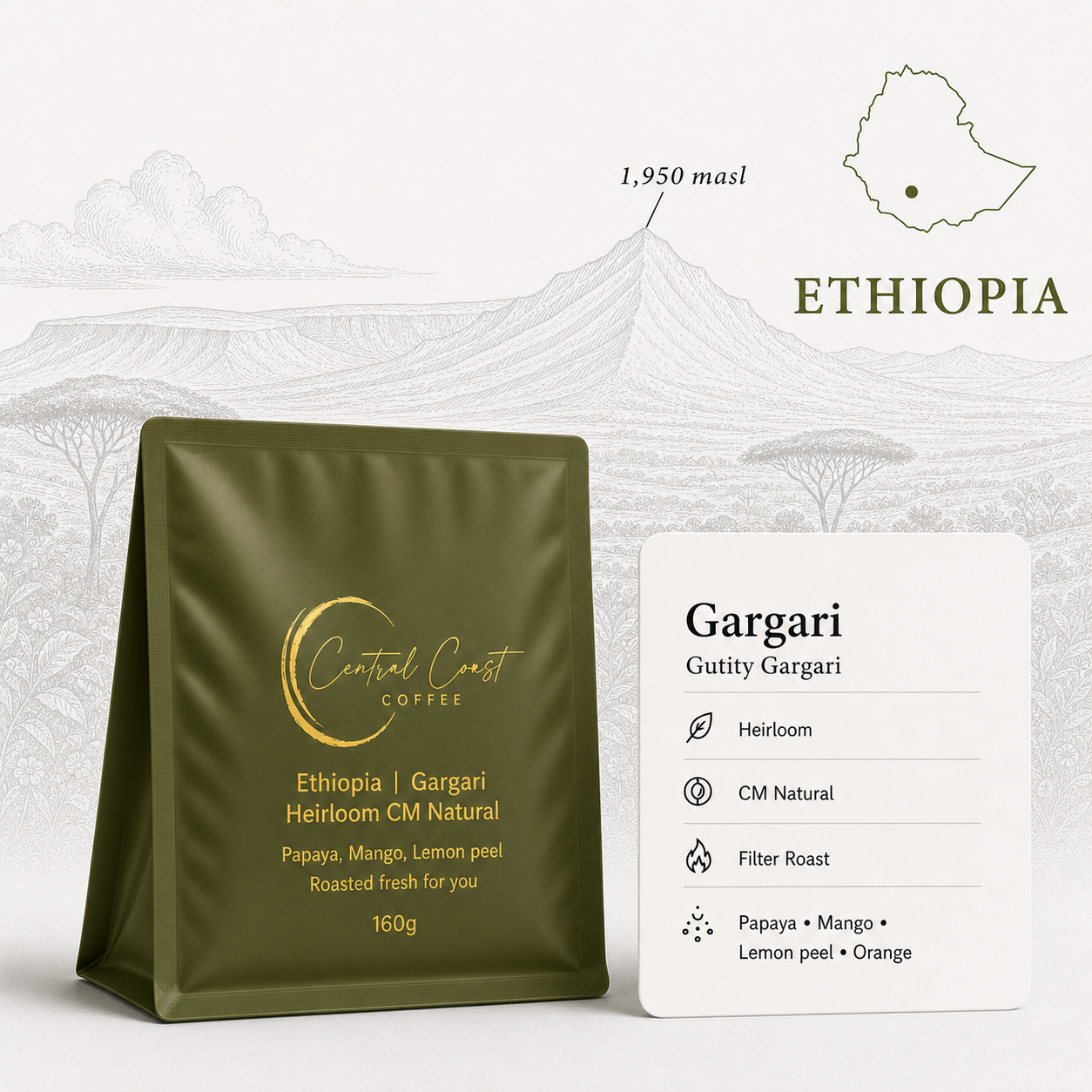 Ethiopian | Gargari | Various Producers | CM Natural CMN Amber PR16 | Signature Series 160g bag