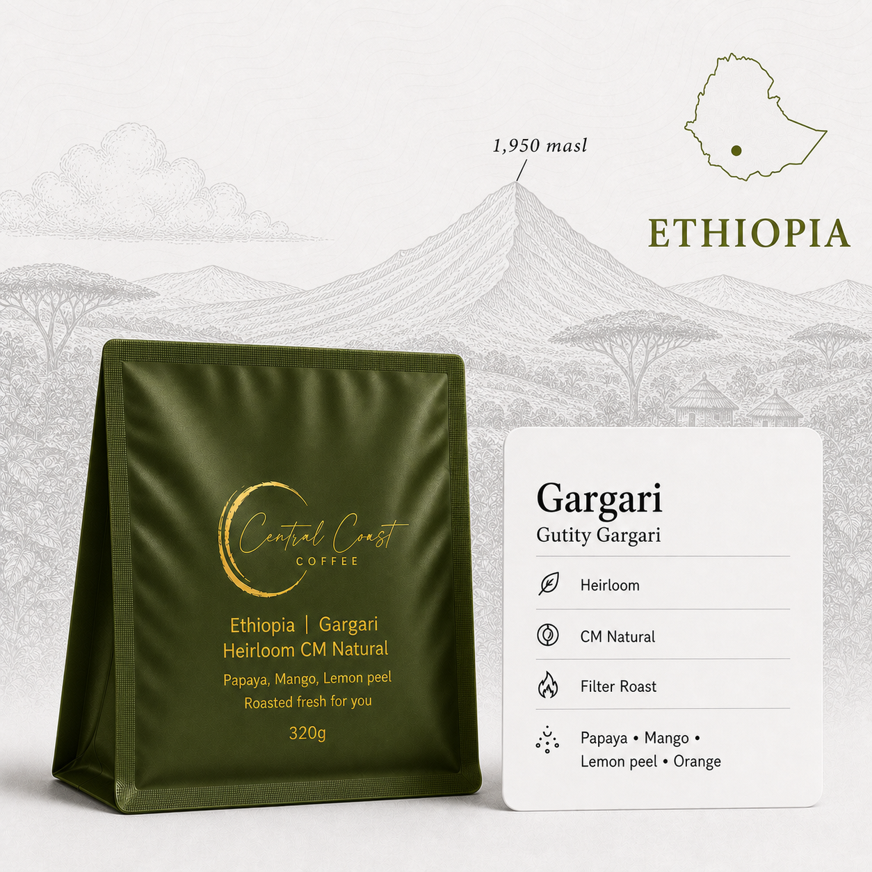 Ethiopian | Gargari | Various Producers | CM Natural CMN Amber PR16 | Signature Series 320g bag