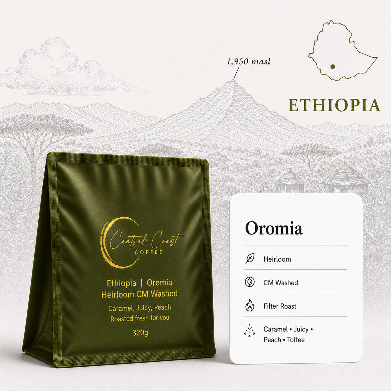 Ethiopian | Oromia | Various Producers | Heirloom CM Washed CMW Diamond 1424 | Signature Series 320g bag