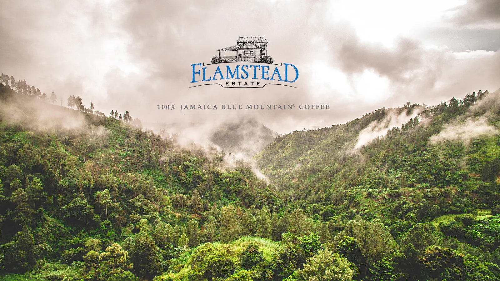 flam03.webp
