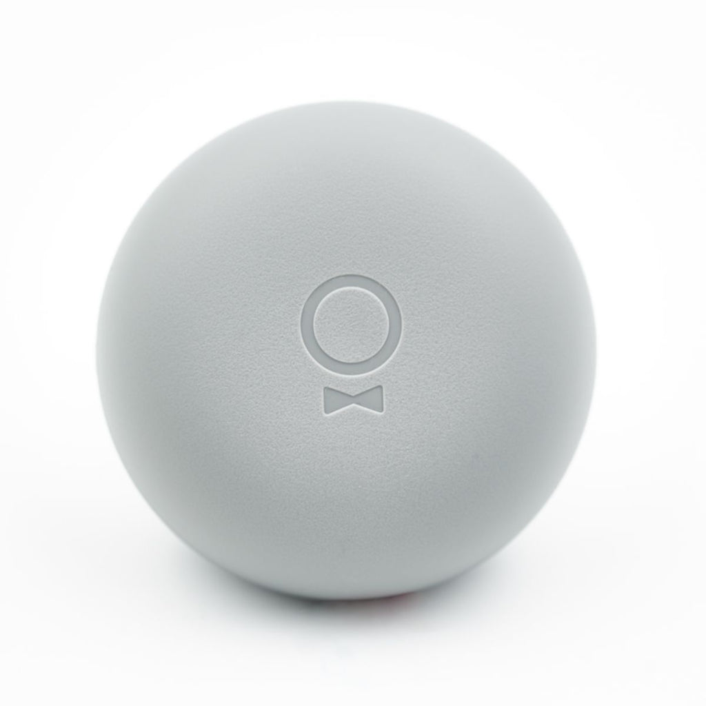 Fellow Carter Everywhere Lid Replacement - Matte Grey