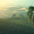 Vale da Grama, Brazil - Nossa program