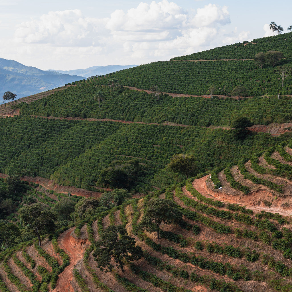 Serra Negra hills, Minas Gerais