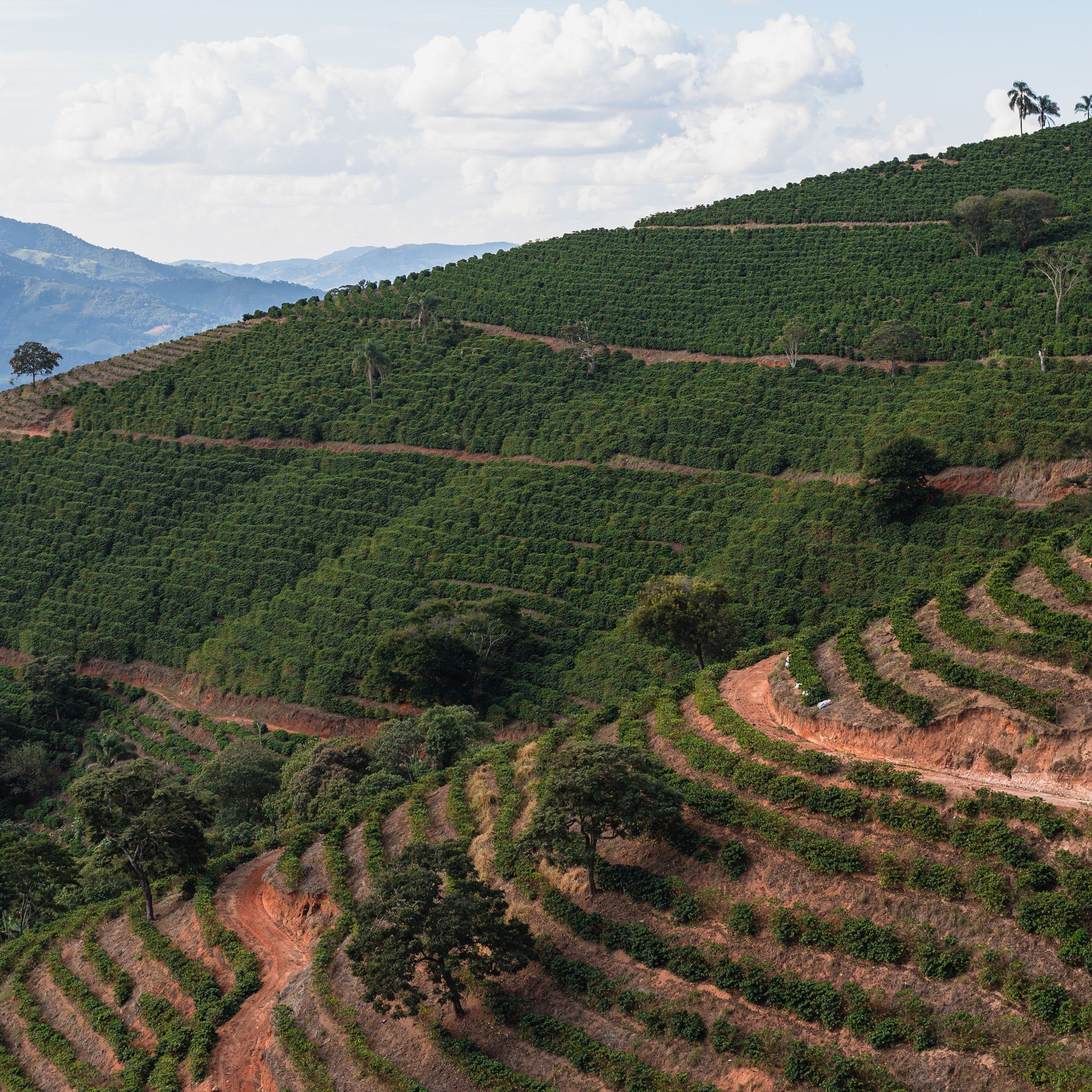 Serra Negra hills, Minas Gerais