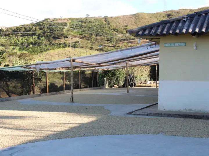 Colombia | Los Rosales | Caturra Washed AAA