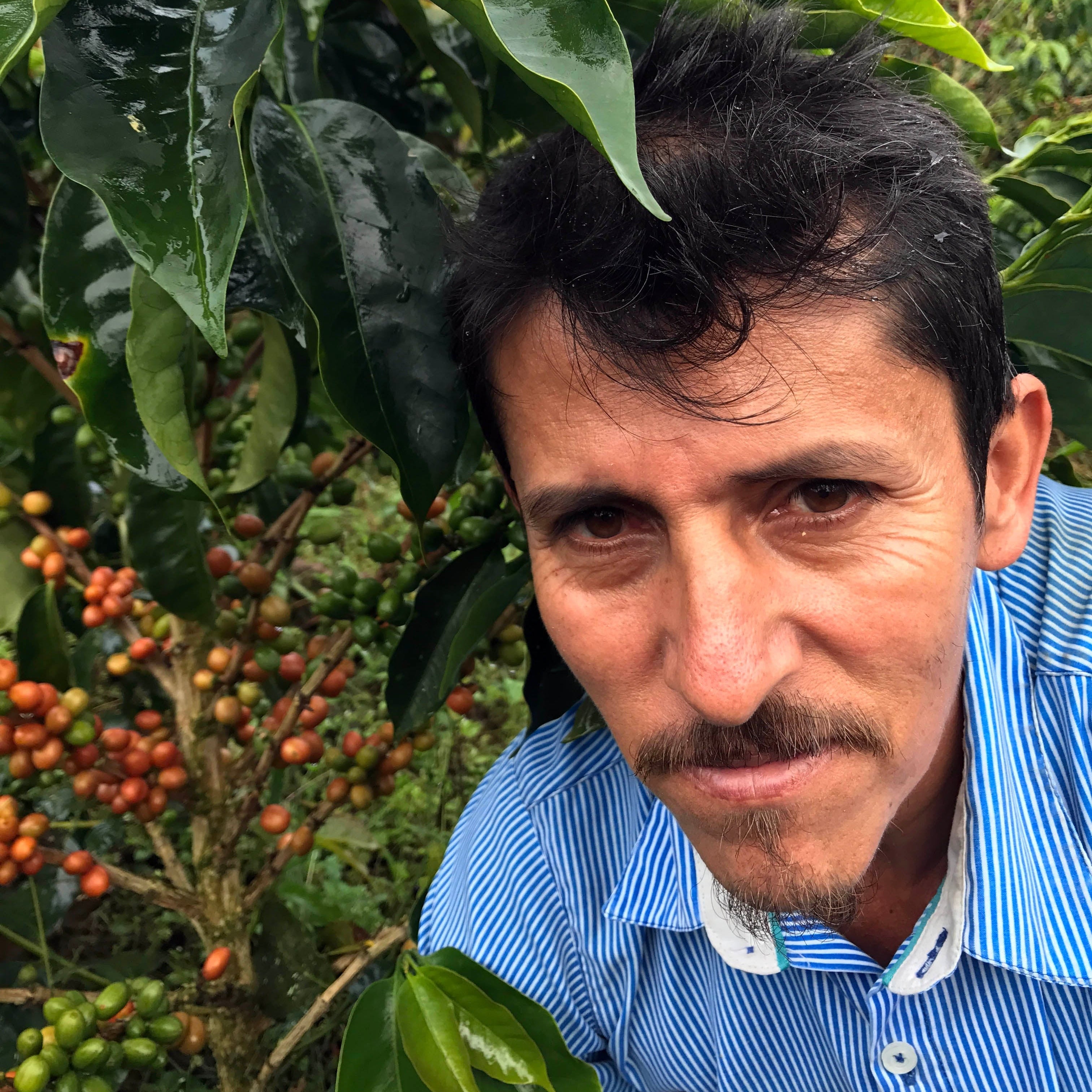 Colombia | Villa Betulia | Luis Anibal Calderon | Gesha Natural