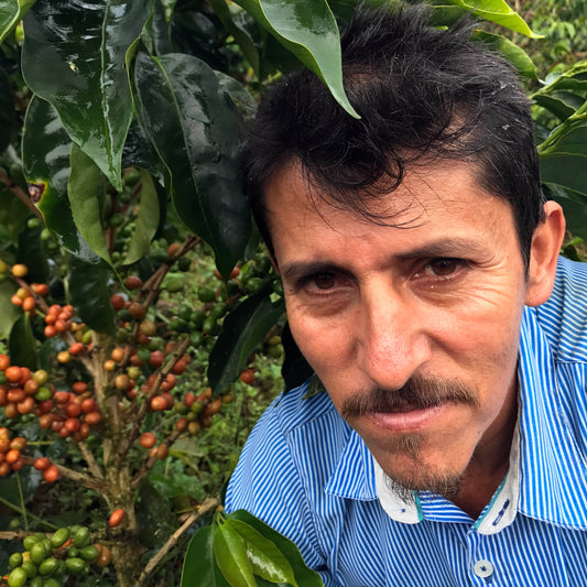 Colombia | Villa Betulia | Luis Anibal Calderon | Gesha Natural