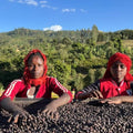 Ethiopia | Yirgacheffee Danche | Heirloom Red Honey G1