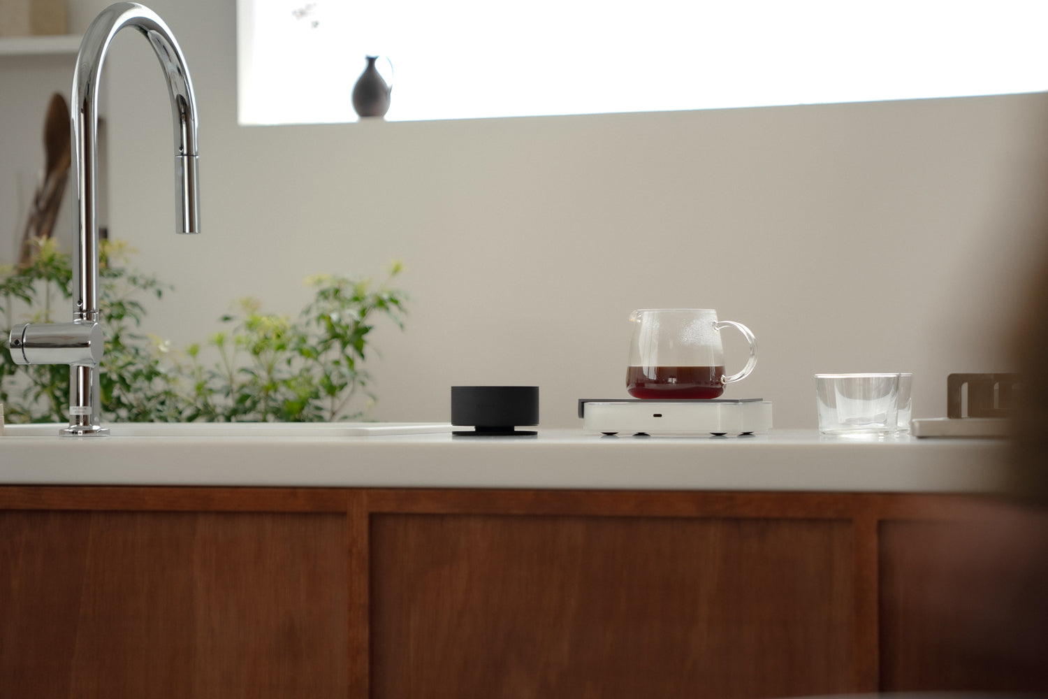 Acaia Horizon