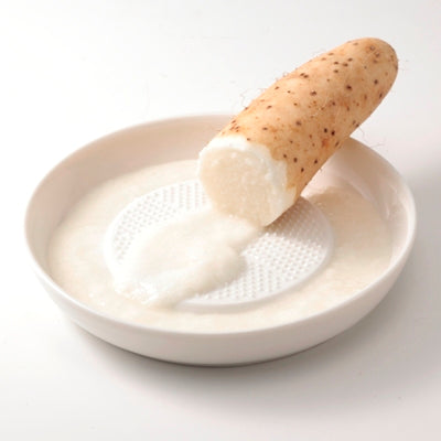 Porlex Grater Medium