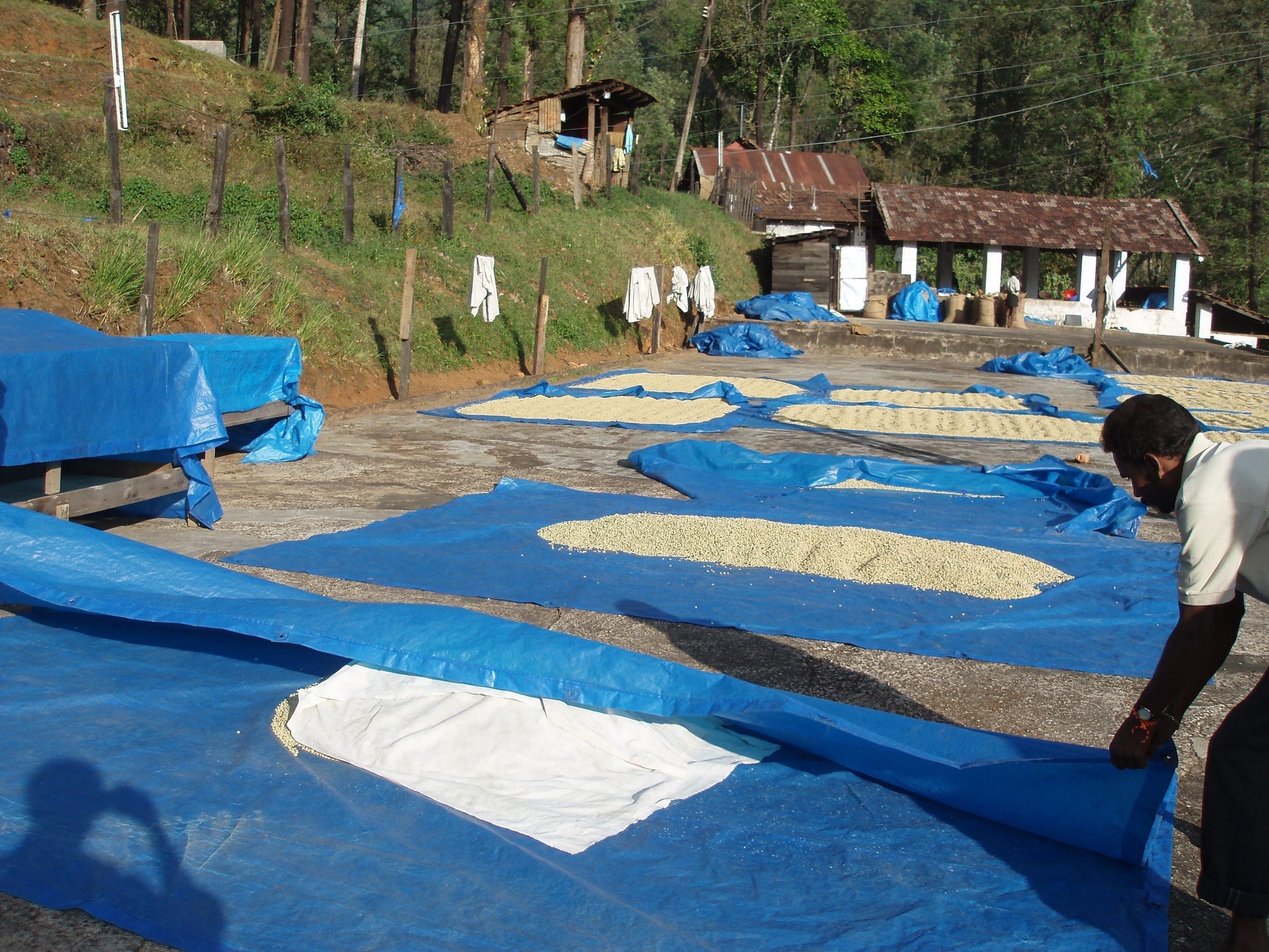 preparing_20parchment_20for_20the_20night_20-_20Copy.jpg