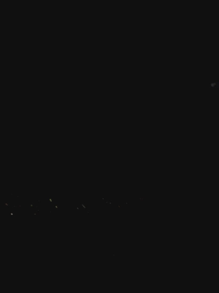 Automatic Cellar Bean Doser With Scales