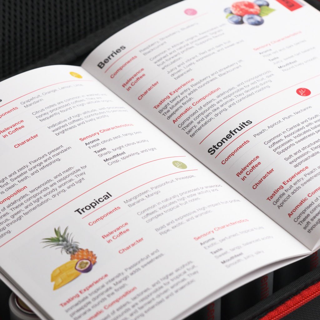 Scentible Professional Kit - 40 Aromatics