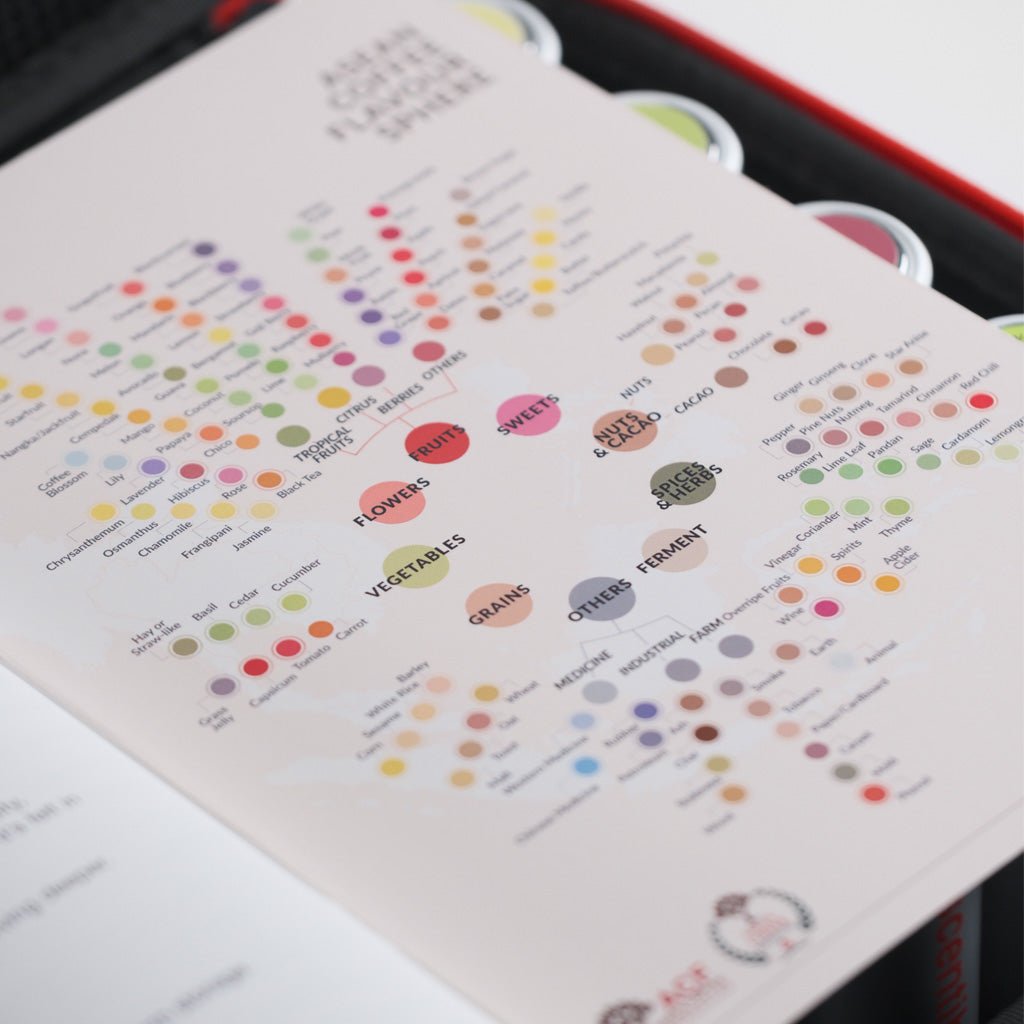 Scentible Professional Kit - 40 Aromatics