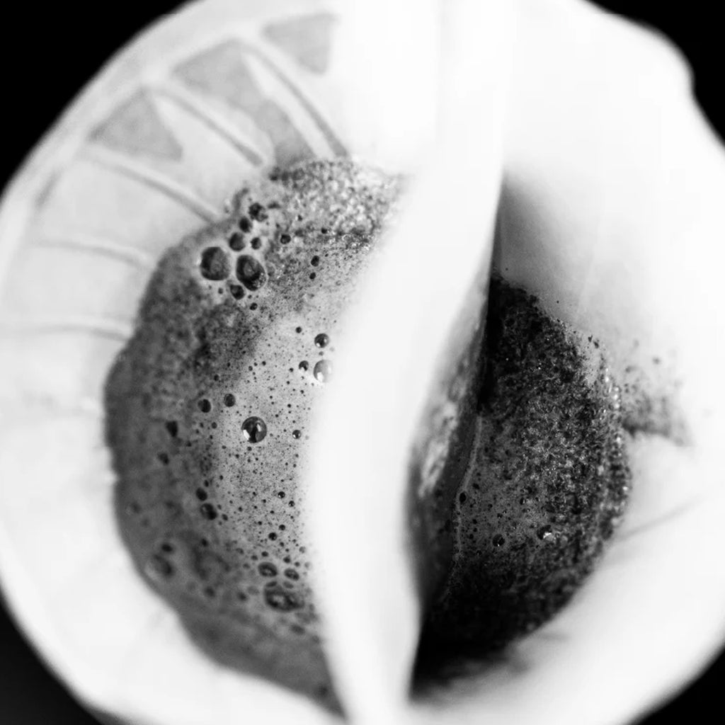 SIBARIST Dual Chamber Coffee Filters