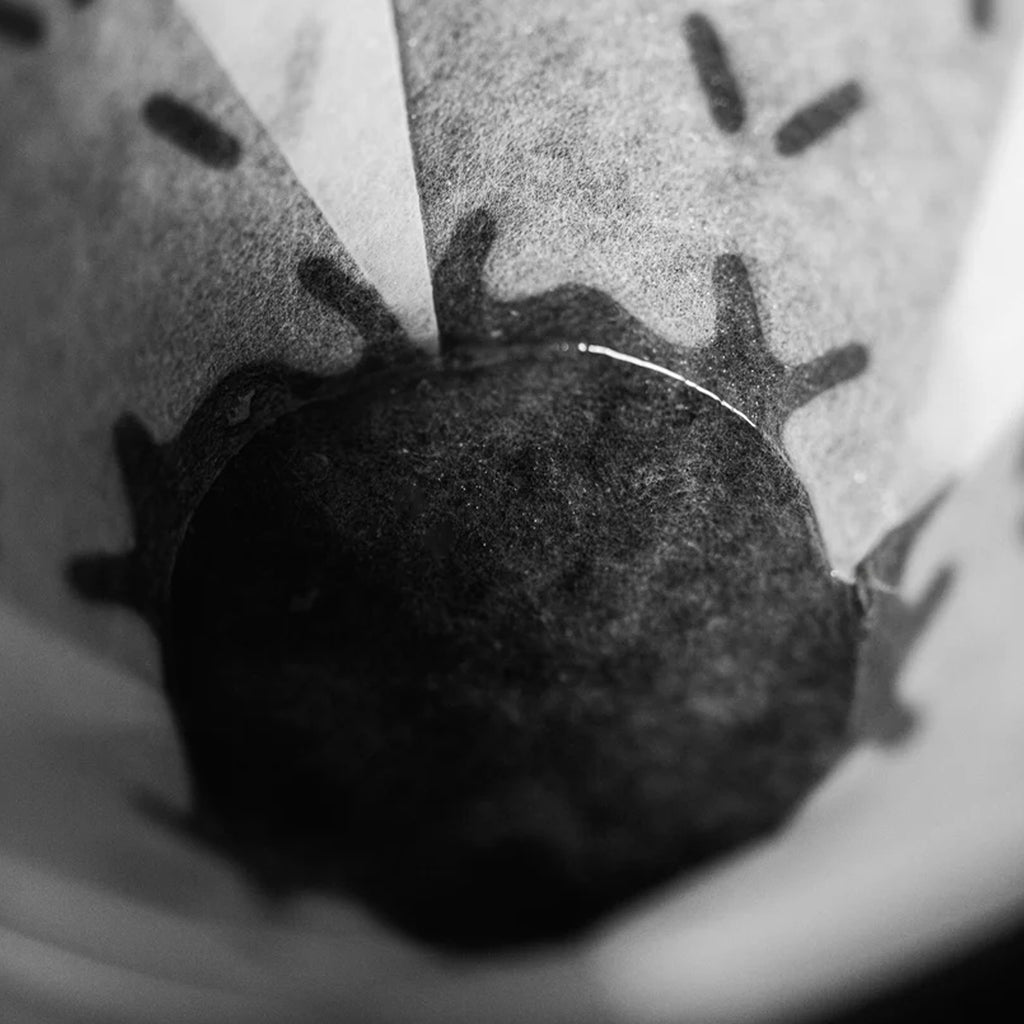 SIBARIST Graycano Coffee Filters