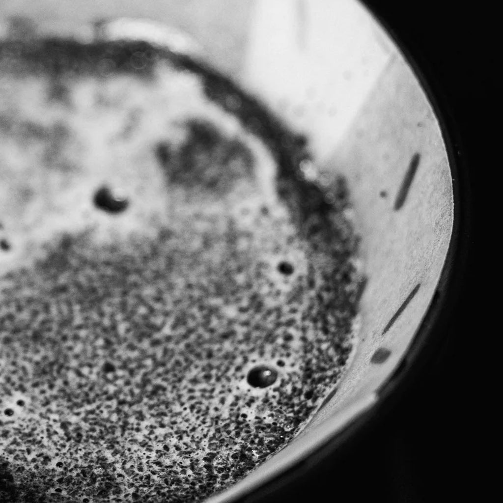 SIBARIST Graycano Coffee Filters