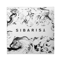 SIBARIST Rarities HP Coffee Filters - product view 1