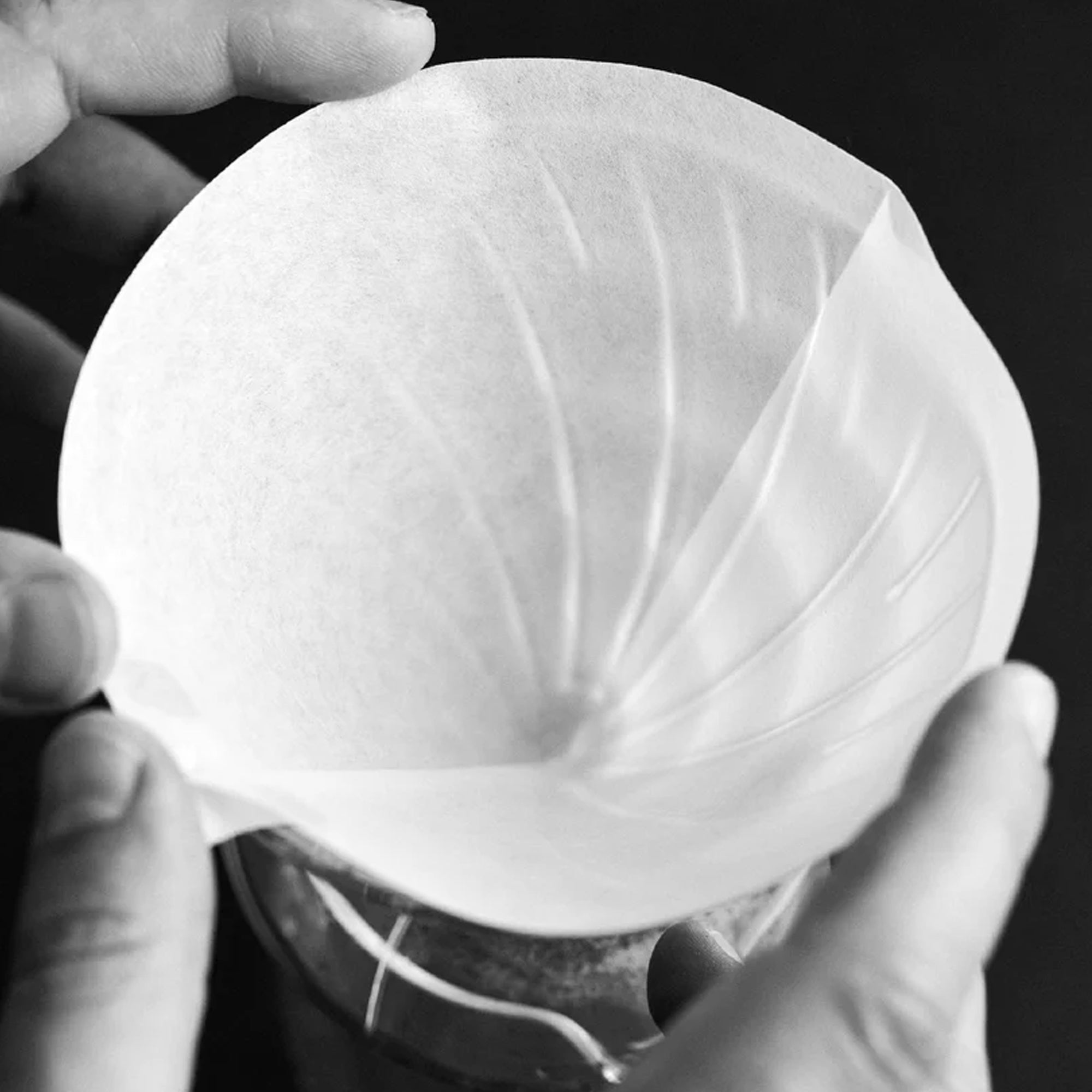 SIBARIST Rarities HP Coffee Filters