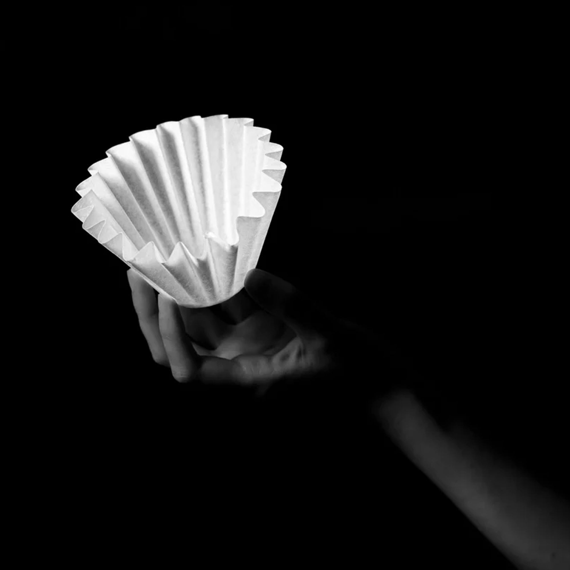SIBARIST Wave Coffee Filters