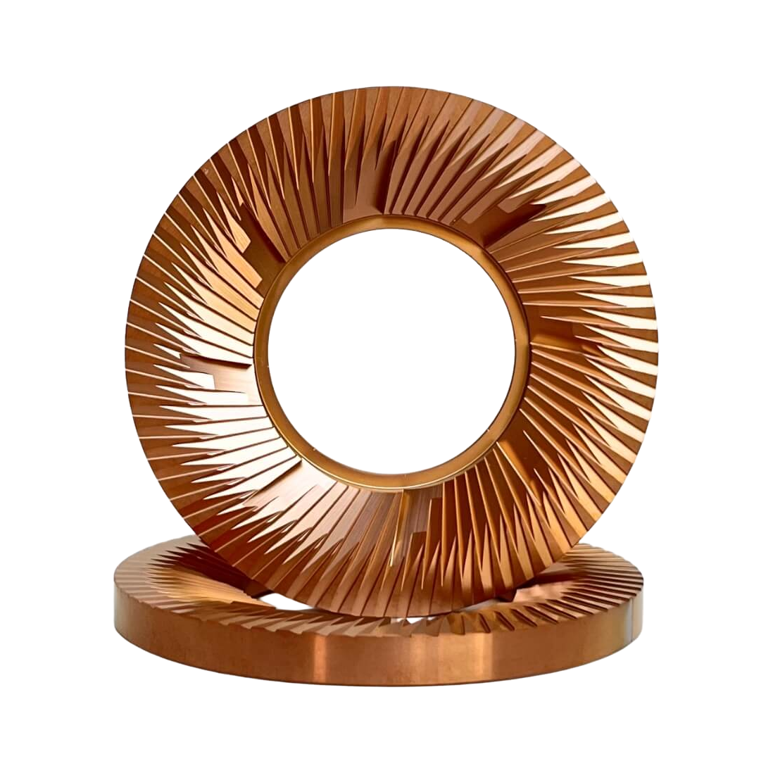 SSP 102mm Blind Burrs to fit Option-O Lagom 01 - product view 1