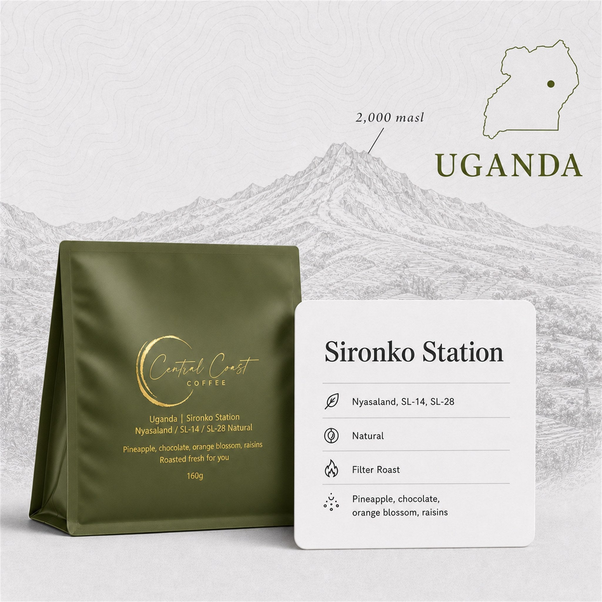 Central Coast Coffee 160g bag of Uganda Sironko Station Nyasaland, SL-14 and SL-28 natural coffee from Mount Elgon