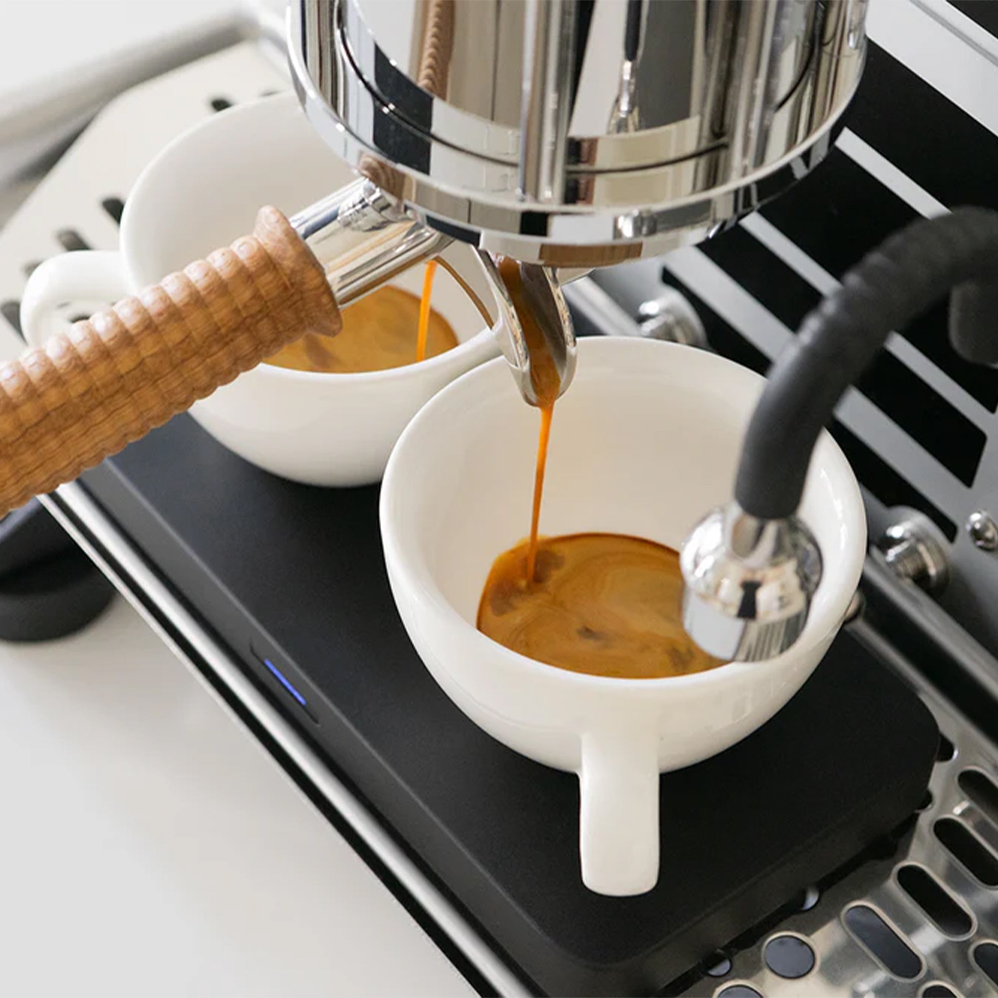 Acaia Umbra Lunar Duo