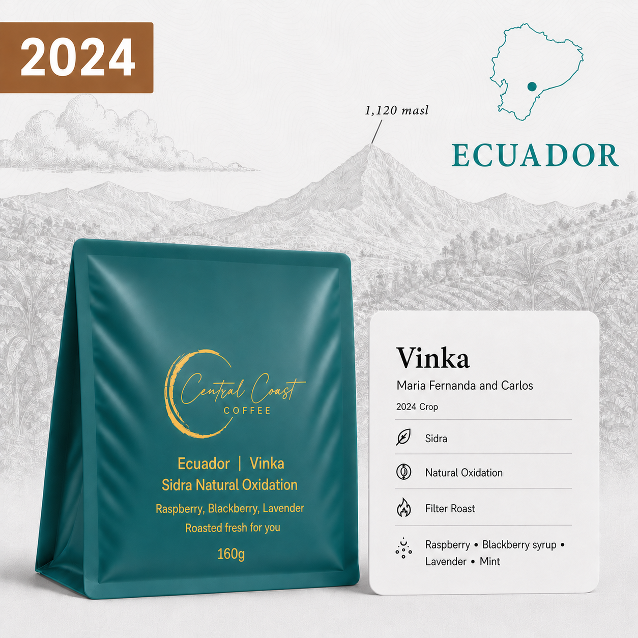 Central Coast Coffee Ecuador Vinka Farm Sidra Natural Oxidation coffee beans 160g bag