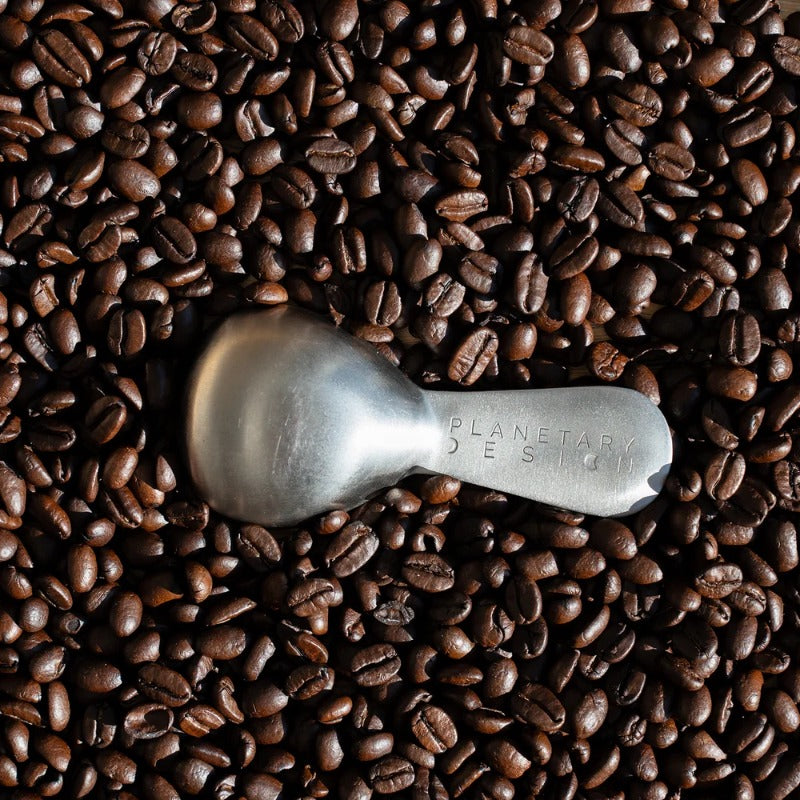 Airscape coffee scoop with coffee beans