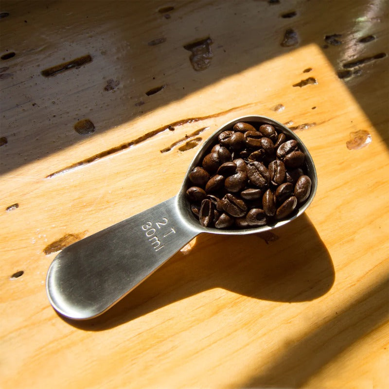 Airscape coffee scoop with coffee beans