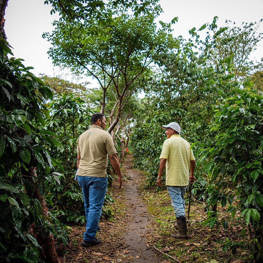 Honduras_FarmerAdvisor_1200x900_9f134309-5c59-463a-a24d-4588f1bf6f45.jpg